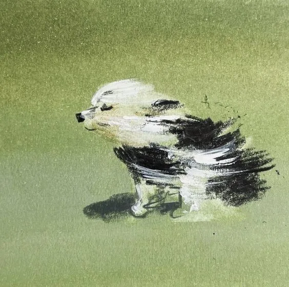 A painted white and black fluffy dog bracing against the wind on a soft green ground, in loose brushstrokes.