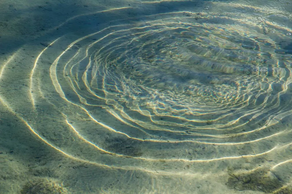 No. 017, photo: quiet, organic, minimal